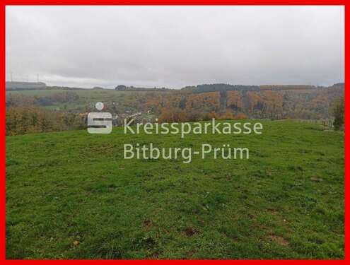 Foto - Grundstück in Mettendorf 28.000,00 € 18976 m²