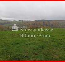 Grundstück in Mettendorf 28.000,00 € 18976 m²