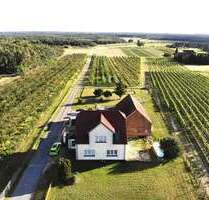 Haus zum Kaufen in Jessen (Elster) 349.000,00 € 129 m²
