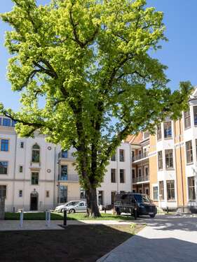 Foto - Wohnung zum Mieten in Meißen 466,00 € 42.34 m²