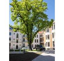 Wohnung zum Mieten in Meißen 466,00 € 42.34 m²
