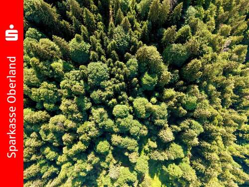 Foto - Grundstück in Garmisch-Partenkirchen 50.000,00 € 14170 m²