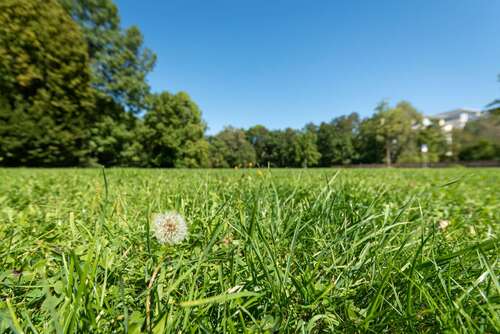 Foto - Grundstück zu verkaufen in München 2.100.000,00 € 887 m²