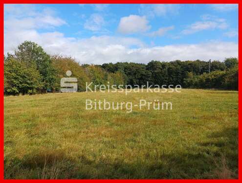 Foto - Grundstück zu verkaufen in Herforst 63.500,00 € 403 m²