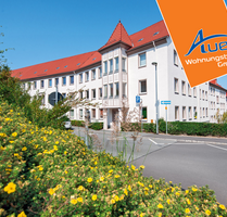 Wohnung zum Mieten in Aue-Bad Schlema 384,66 € 64.11 m²