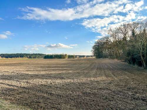 Foto - Grundstück in Reichertshofen 308.784,00 € 22056 m²