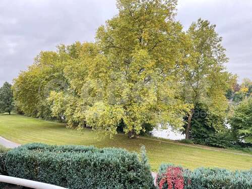 Foto - Wohnung zum Mieten in Aschaffenburg 1.300,00 € 108 m²