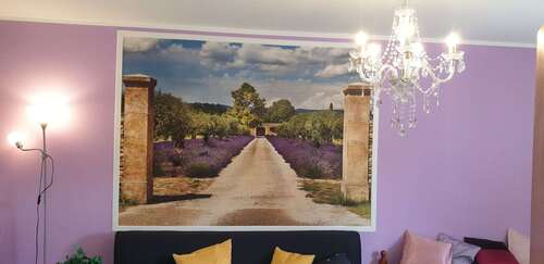 Foto - Wohnen auf Zeit in Bonn 1.020,00 €