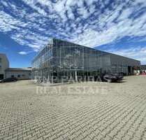 Halle in Türkheim 18.000,00 € 1000 m²