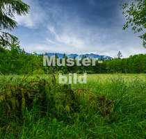 Grundstück in Lahrschwarzwald-Mietersheim 8.000,00 € 2016 m² - Lahr/schwarzwald-Mietersheim