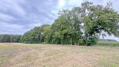 Foto - Grundstück in Groß Gottschow 75.000,00 € 43185 m²