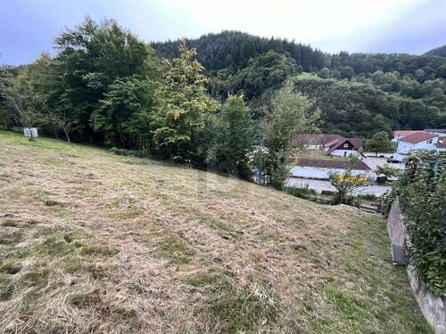 Foto - Grundstück zu verkaufen in Weisenbach 75.000,00 € 363 m²