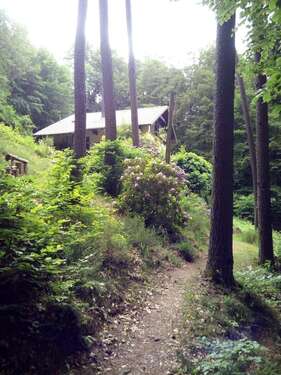 Foto - Haus zum Kaufen in Lemberg 349.000,00 € 180 m²