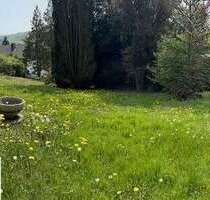 Grundstück zu verkaufen in Hann. Münden 194.155,00 € 1339 m²