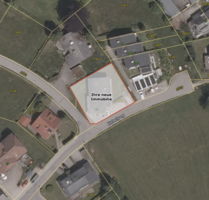 Haus zum Kaufen in Höchenschwand 549.000,00 € 306 m² Haus zum Kaufen in Höchenschwand 549.000,00 € 306 m²