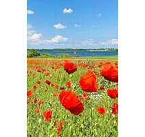 Grundstück zu verkaufen in Nordwestmecklenburg - Landkreis - Dassow 1.800.000,00 € 20000 m²