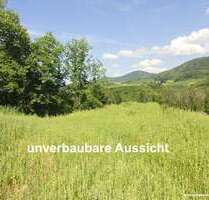 Grundstück zu verkaufen in Sasbach 269.500,00 € 600 m²