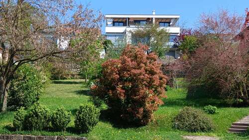 Foto - Grundstück zu verkaufen in Weinsberg 445.000,00 € 627 m²