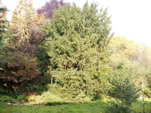 Foto - Grundstück zu verkaufen in Güglingen 499.000,00 € 1019 m²