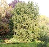 Grundstück zu verkaufen in Güglingen 499.000,00 € 1019 m²