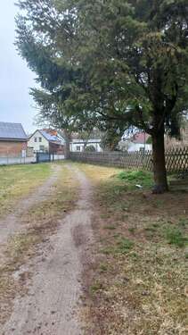 Foto - Haus zum Kaufen in Zossen 250.000,00 € 80 m²