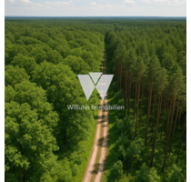 Grundstück in Borna 120.000,00 € 61204 m²