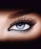 Foto - Wohnung zum Mieten in Magdeburg 299,00 € 50.44 m²