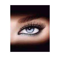 Wohnung zum Mieten in Magdeburg 299,00 € 50.44 m²