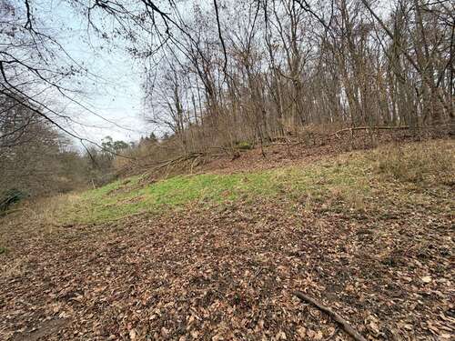 Foto - Grundstück in Johannesberg-Steinbach 69.000,00 € 4000 m²