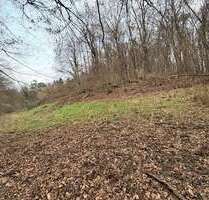 Grundstück in Johannesberg-Steinbach 69.000,00 € 4000 m²