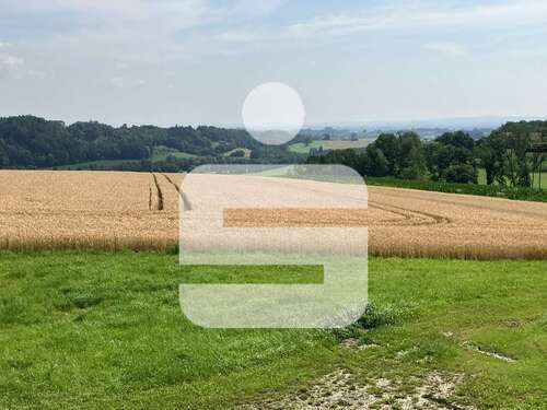 Foto - Grundstück in Malching 770.000,00 € 96311 m²