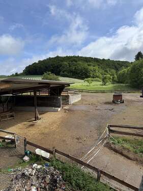 Foto - Halle in Dautphetal 169.000,00 € 820 m²