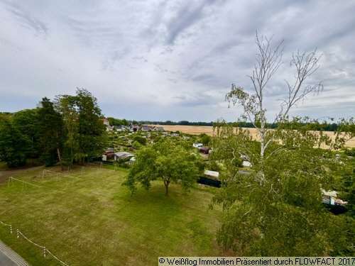 Foto - Wohnung zum Mieten in Riesa 360,00 € 60.8 m²