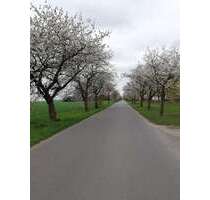 Grundstück zu verkaufen in DahmeMark 54.900,00 € 577 m² - Dahme/Mark