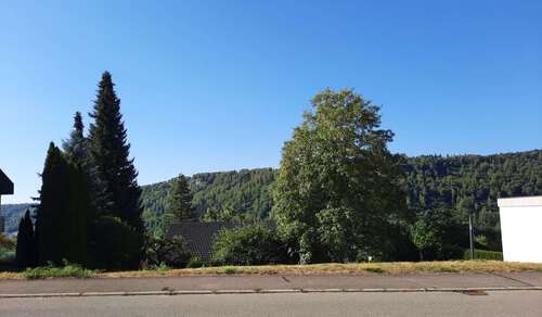Foto - Grundstück zu verkaufen in Albstadt - Ebingen 159.000,00 € 614 m²