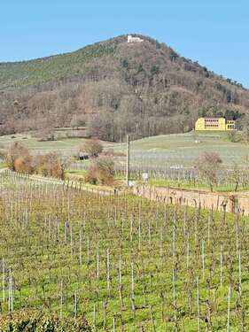 Foto - Haus zum Kaufen in Rhodt unter Rietburg 1.198.000,00 € 268 m²