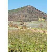 Haus zum Kaufen in Rhodt unter Rietburg 1.198.000,00 € 268 m²