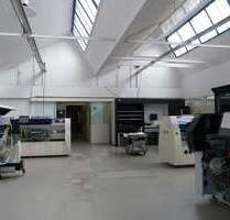 Halle in Lörrach 3.617,00 € 486 m²