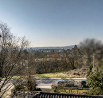 Haus zum Kaufen in Wiesbaden 1.255.000,00 € 192 m²