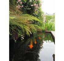 Haus zum Kaufen in Böblingen 1.195.000,00 € 202 m²