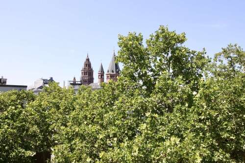 Foto - Wohnung zum Mieten in Mainz 1.375,00 € 70 m²