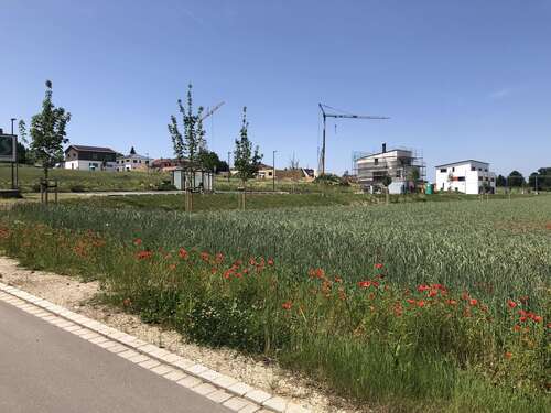 Foto - Grundstück zu verkaufen in Schrobenhausen 344.118,00 € 498 m²