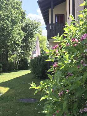 Foto - Wohnung zum Mieten in Moosburg 400,00 € 37 m²