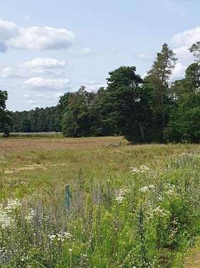 Foto - Grundstück zu verkaufen in Möhrendorf 560.000,00 € 525 m²