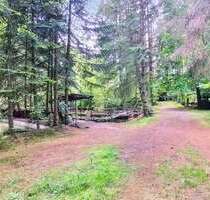 Grundstück zu verkaufen in Harsefeld Issendorf 130.000,00 € 2959 m² - Harsefeld / Issendorf