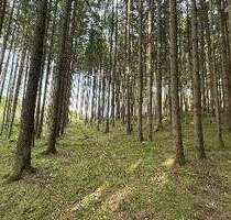 Grundstück in Altenmünster-Zusamzell 52.500,00 € 14250 m²