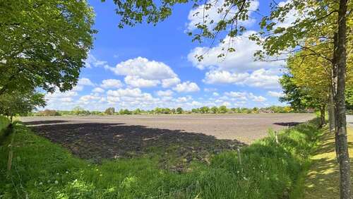 Foto - Grundstück in Bad Zwischenahn 309.552,00 € 51592 m²