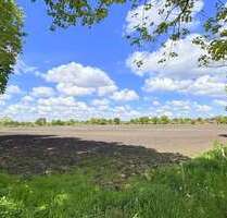Grundstück in Bad Zwischenahn 309.552,00 € 51592 m²