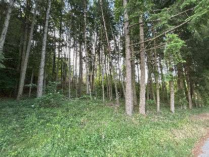 Foto - Grundstück in Altenmünster-Zusamzell 32.500,00 € 8748 m²