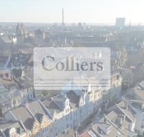 Haus zum Kaufen in Düsseldorf 4.000.000,00 € 600 m²